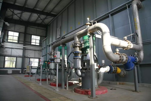 送你一個(gè)減齡神器,你想要么