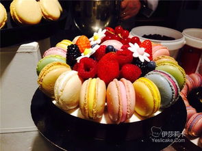 SIRHA 2015 探索里昂國(guó)際餐飲酒店食品展的創(chuàng)新盛宴